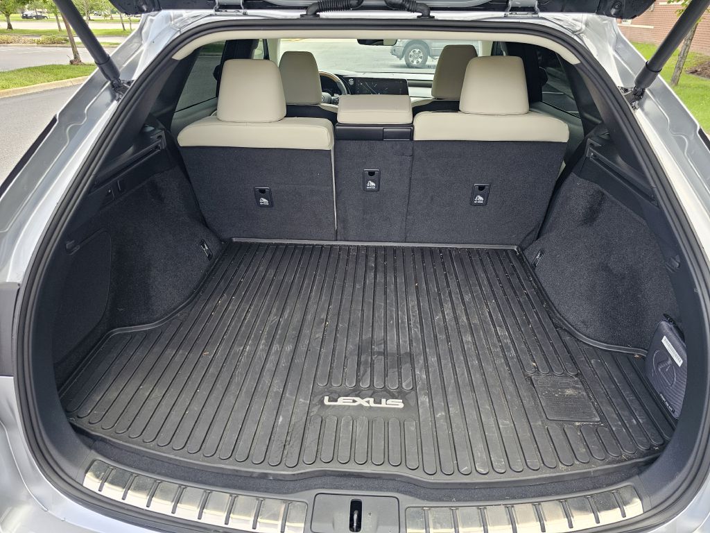 2024 LEXUS RX 350H PREMIUM - 4256