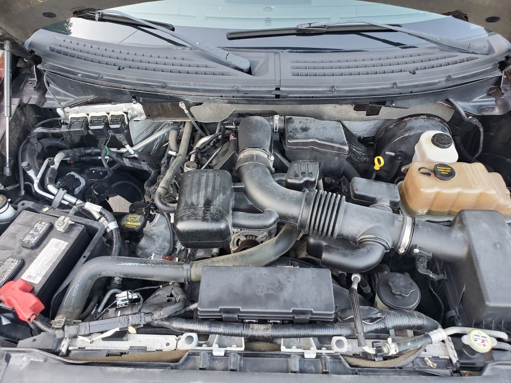 2009 FORD F150 - C4445